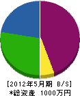 山田塗装店 貸借対照表 2012年5月期