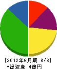 上野ガス 貸借対照表 2012年6月期