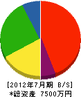 日彰商事 貸借対照表 2012年7月期