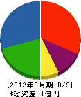井上技研 貸借対照表 2012年6月期