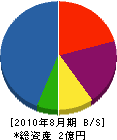 ひろし工務店 貸借対照表 2010年8月期