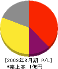 ガーデン松田 損益計算書 2009年3月期