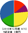 湯川王冠 貸借対照表 2010年12月期