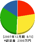 江口組 貸借対照表 2007年12月期