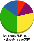 小沢建設 貸借対照表 2012年5月期