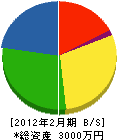 石川建設 貸借対照表 2012年2月期