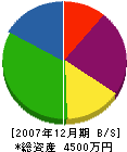 大田商店 貸借対照表 2007年12月期