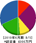 増田設備工業所 貸借対照表 2010年6月期