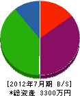 松本工業所 貸借対照表 2012年7月期