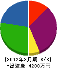 平澤建設 貸借対照表 2012年3月期