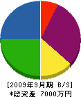 田中工業 貸借対照表 2009年9月期