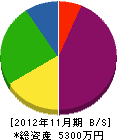 竹氏電設 貸借対照表 2012年11月期