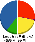 藤友建設工業 貸借対照表 2009年12月期