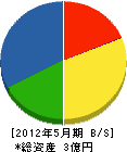 坂田電気工業所 貸借対照表 2012年5月期