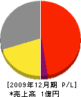 新潟三協 損益計算書 2009年12月期