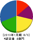 松嶋 貸借対照表 2013年1月期
