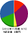 奥村商店 貸借対照表 2012年11月期