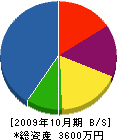 国際電気 貸借対照表 2009年10月期
