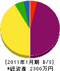 関西緑地開発 貸借対照表 2011年1月期