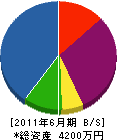 豊和テクノサービス 貸借対照表 2011年6月期