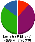 川原海事 貸借対照表 2011年5月期