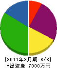 斎藤電機工業 貸借対照表 2011年3月期