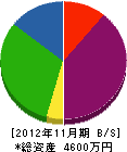 安田電機工業所 貸借対照表 2012年11月期