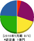 富士電子システム 貸借対照表 2010年5月期