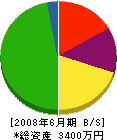 榎元建設 貸借対照表 2008年6月期