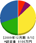 広沢組 貸借対照表 2009年12月期