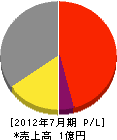 戸松電気工業所 損益計算書 2012年7月期
