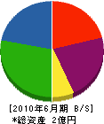 日本交通興業 貸借対照表 2010年6月期