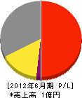 中日本コンサルタント 損益計算書 2012年6月期