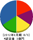 斎藤建設 貸借対照表 2012年6月期