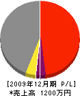 中村塗装店 損益計算書 2009年12月期