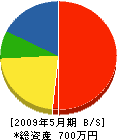 石津電気商会 貸借対照表 2009年5月期