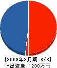 長坂電気 貸借対照表 2009年3月期