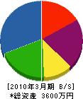 山本電気商会 貸借対照表 2010年3月期