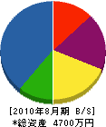 塚越電機商会 貸借対照表 2010年8月期