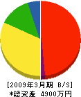 柳田土木工業 貸借対照表 2009年3月期