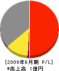 日藤ホーム 損益計算書 2009年6月期