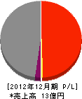 渡辺富工務店 損益計算書 2012年12月期
