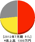 大地造園建設 損益計算書 2012年7月期