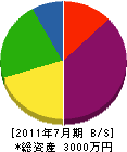 新居田組 貸借対照表 2011年7月期