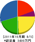 栃の葉造園土木 貸借対照表 2011年10月期