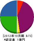 飯島建設 貸借対照表 2012年10月期