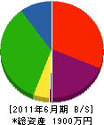 藤田水道工業 貸借対照表 2011年6月期