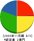大垣土建 貸借対照表 2009年11月期