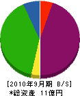 青松 貸借対照表 2010年9月期