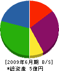 丸昭工務店 貸借対照表 2009年6月期